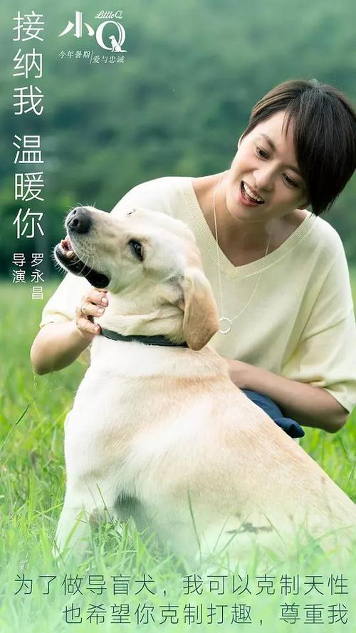 ナヨ市立大学计算机科学文凭证书